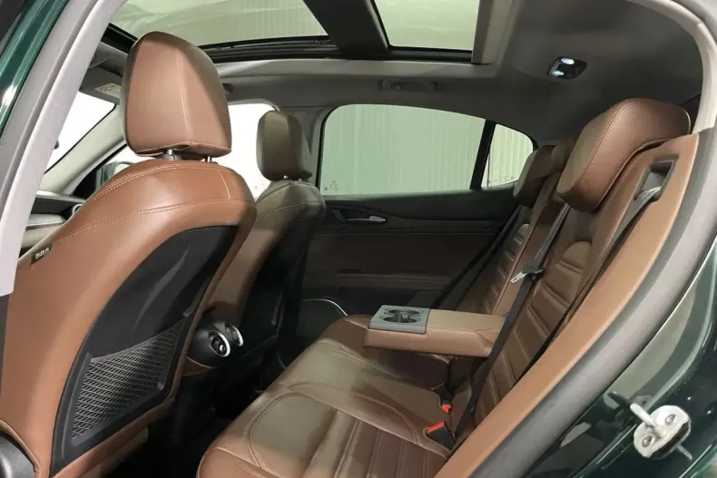 Alfa Romeo Stelvio din 2021 cu 118.101 km - oferta ALF164940 - foto 13