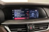 Alfa Romeo Stelvio din 2021 cu 118.101 km - oferta ALF164940 - foto 19