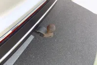 Volkswagen Tiguan din 2022 cu 107.879 km - oferta VOL165349 - foto 28