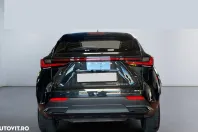 Lexus Seria NX din 2024 cu 80 km - oferta LEX165371 - foto 7