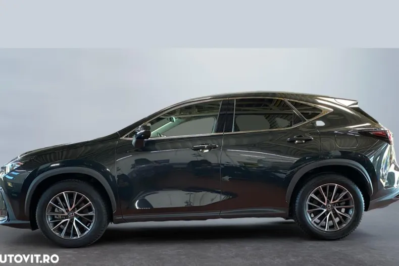 Lexus Seria NX din 2024 cu 80 km - oferta LEX165371 - foto 10