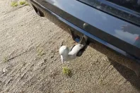 BMW X6 din 2024 cu 25.300 km - oferta BMW165419 - foto 17