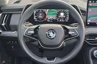 Skoda Kodiaq din 2024 cu 24.000 km - oferta SKO165439 - foto 15