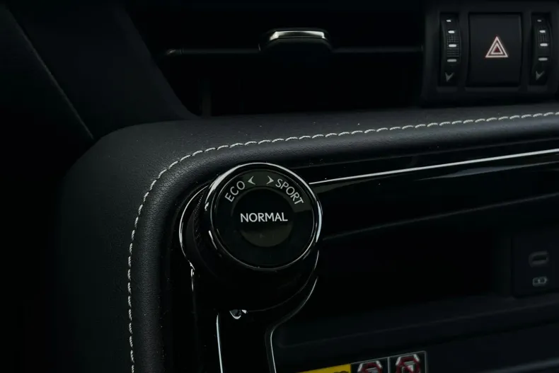 Lexus Seria NX din 2024 cu 1.376 km - oferta LEX166144 - foto 26