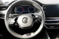 Skoda Octavia din 2020 cu 172.103 km - oferta SKO166187 - foto 15