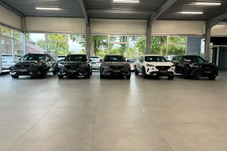 Cupra Formentor din 2023 cu 28.556 km - oferta CUP166314 - foto 20