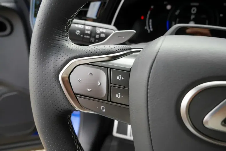 Lexus RX 500 din 2023 cu 29.600 km - oferta LEX166642 - foto 23