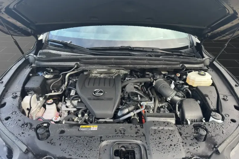 Lexus RX 500 din 2023 cu 46.050 km - oferta LEX166644 - foto 20