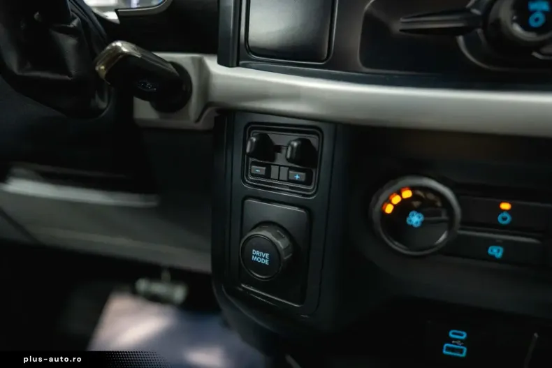 Ford F 150 din 2024 cu 13.425 km - oferta FOR166778 - foto 29