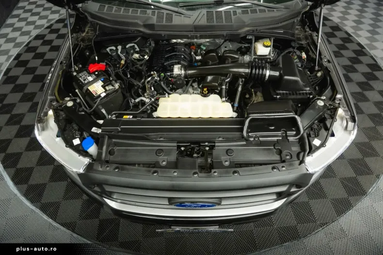 Ford F 150 din 2024 cu 13.425 km - oferta FOR166778 - foto 41