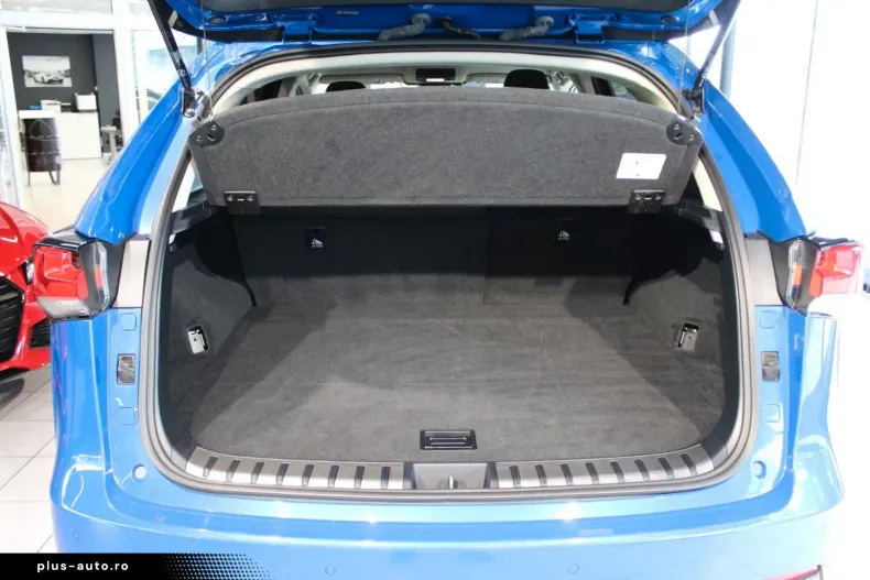 Lexus NX 300 din 2021 cu 97.900 km - oferta LEX166896 - foto 9