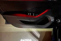 Skoda Octavia din 2021 cu 135.035 km - oferta SKO167547 - foto 26