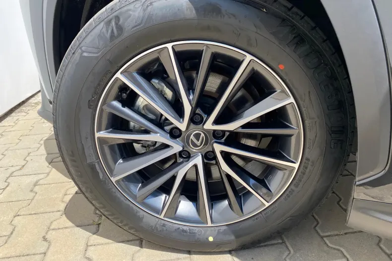 Lexus Seria NX din 2024 cu 900 km - oferta LEX168927 - foto 18