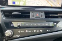 Lexus ES 300 din 2024 cu 17.171 km - oferta LEX169072 - foto 28