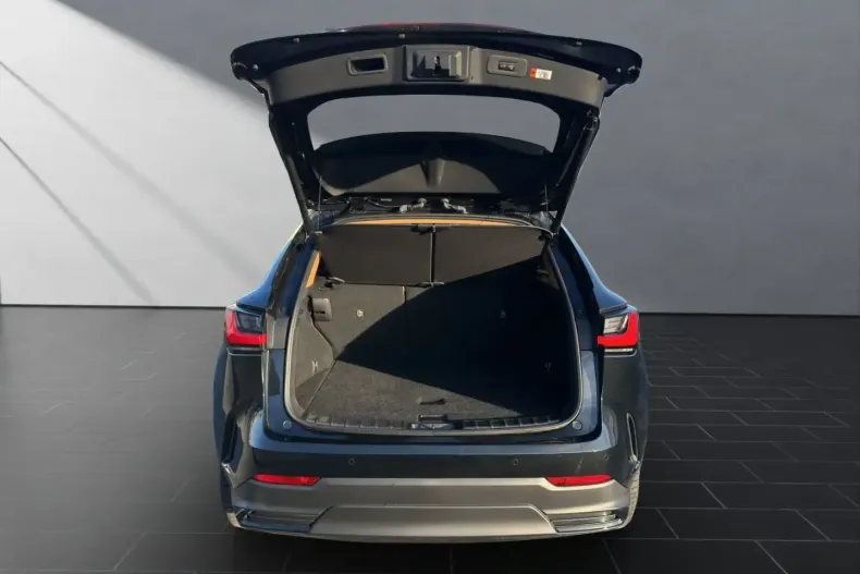 Lexus NX 350h din 2023 cu 19.600 km - oferta LEX169092 - foto 19