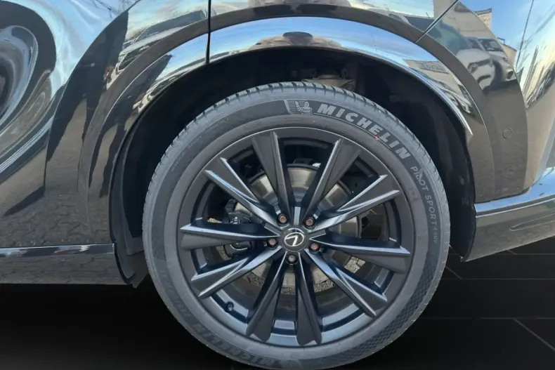 Lexus RX 500 din 2023 cu 30.000 km - oferta LEX169117 - foto 20