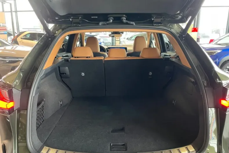 Lexus NX 450h din 2024 cu 35.600 km - oferta LEX169420 - foto 6