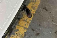 Audi Q5 din 2023 cu 47.686 km - oferta AUD169516 - foto 4