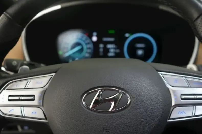 Hyundai SANTA FE din 2022 cu 48.030 km - oferta HYU169533 - foto 7