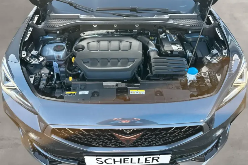 Cupra Formentor din 2022 cu 27.271 km - oferta CUP169559 - foto 20