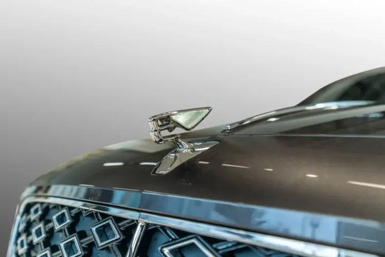 Bentley Flying Spur din 2025 cu 8.390 km - oferta BEN169735 - foto 9