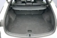 Lexus Seria RX din 2023 cu 12.100 km - oferta LEX170188 - foto 21