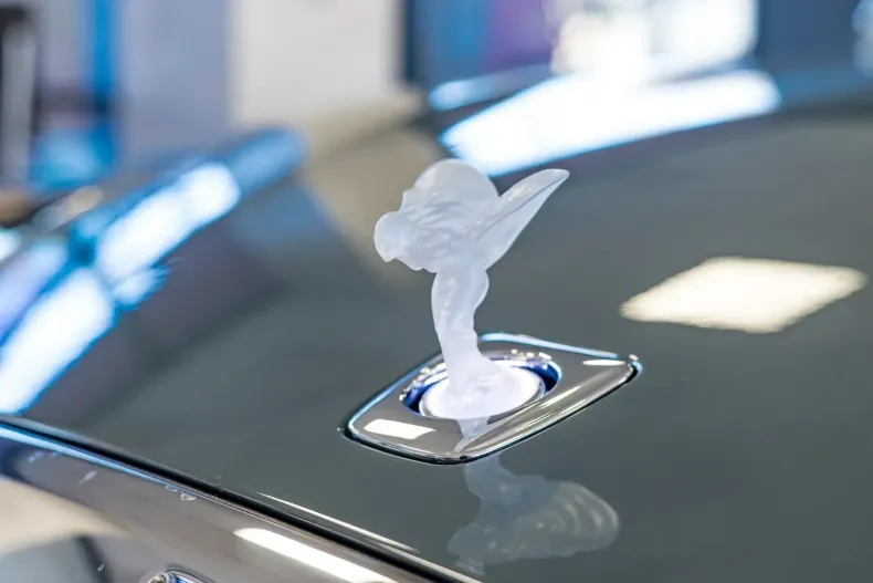 Rolls-Royce Spectre din 2024 cu 15.600 km - oferta ROL170864 - foto 33