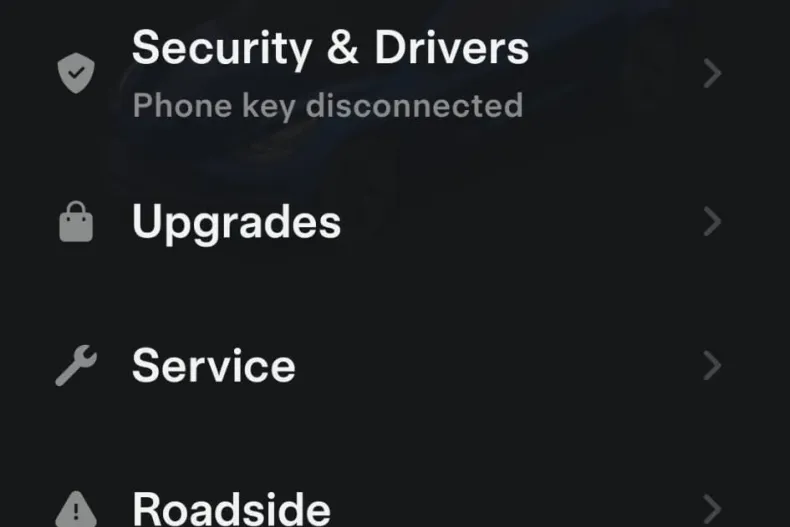 Tesla Model 3 din 2021 cu 74.000 km - oferta TES171392 - foto 25