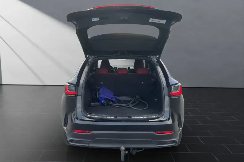 Lexus NX 450h din 2022 cu 64.200 km - oferta LEX171775 - foto 19