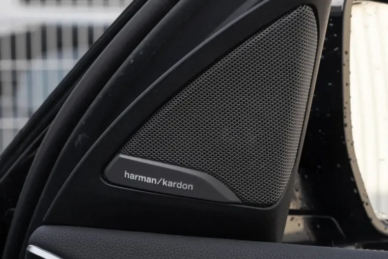 BMW X4 din 2022 cu 45.315 km - oferta BMW171985 - foto 7