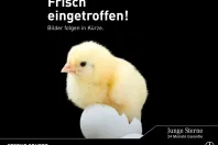 Mercedes-Benz GLE 400 din 2023 cu 47.489 km - oferta MER172147 - foto 1