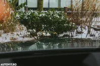 BMW X5 din 2025 cu 4.500 km - oferta BMW173240 - foto 34