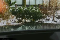 BMW X5 din 2025 cu 4.500 km - oferta BMW173529 - foto 35