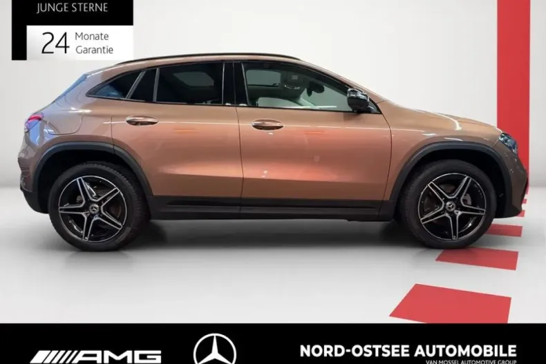 Mercedes-Benz GLA 250 din 2021 cu 56.181 km - oferta MER175368 - foto 9