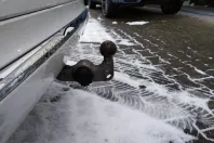 Volvo XC60 din 2022 cu 72.600 km - oferta VOL175510 - foto 15