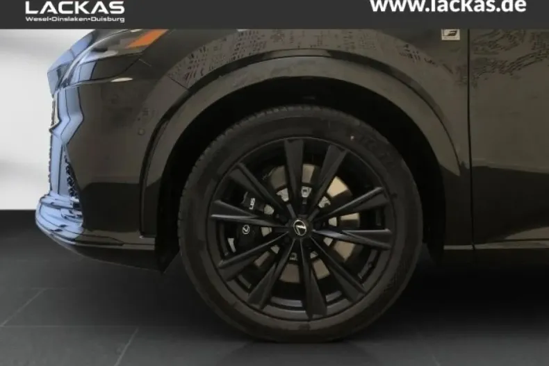 Lexus RX 500 din 2023 cu 17.543 km - oferta LEX175611 - foto 12