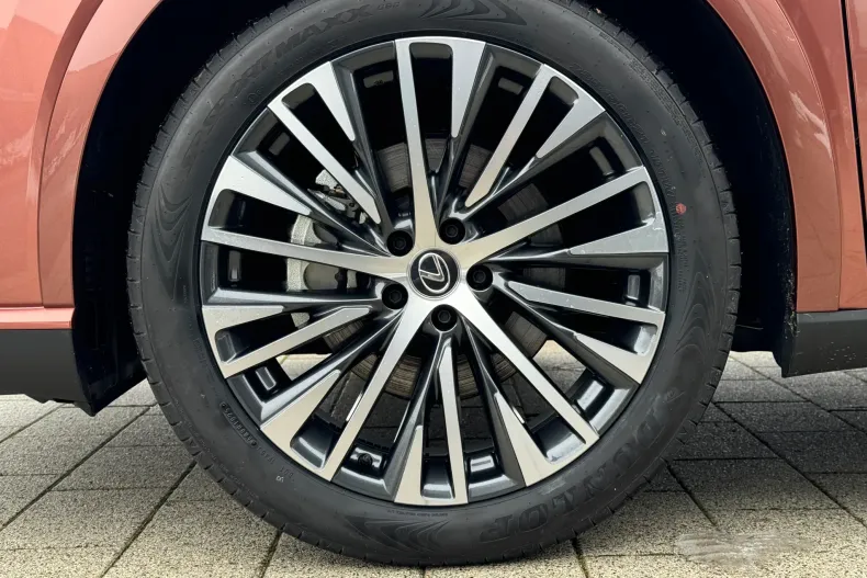 Lexus Seria RX din 2025 cu 9 km - oferta LEX175978 - foto 29