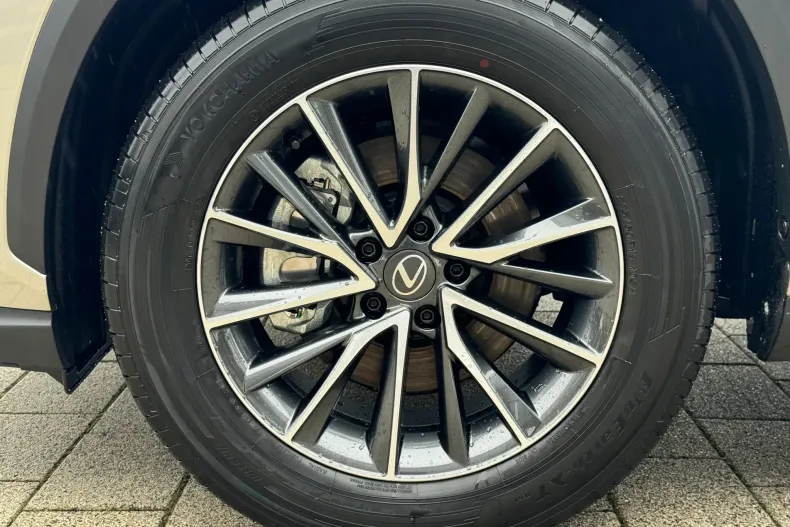 Lexus Seria NX din 2026 cu 4 km - oferta LEX175979 - foto 28