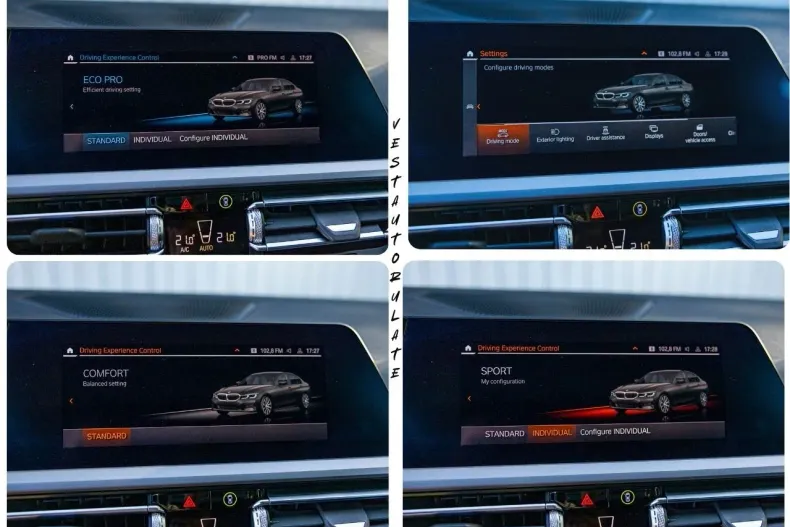 BMW Seria 3 din 2021 cu 81.523 km - oferta BMW175989 - foto 15