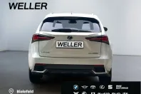 Lexus NX 300 din 2021 cu 33.829 km - oferta LEX176214 - foto 6