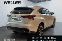 Lexus NX 300 din 2021 cu 33.829 km - oferta LEX176214 - foto 19