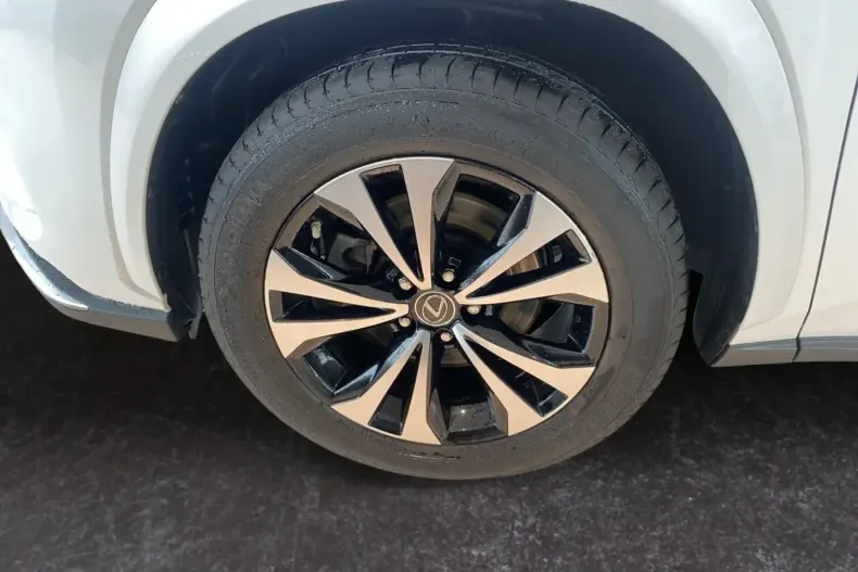 Lexus NX 300 din 2021 cu 33.829 km - oferta LEX176214 - foto 22