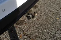 Mercedes-Benz GLC 300 din 2023 cu 99.700 km - oferta MER176286 - foto 20