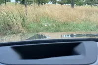 BMW X5 din 2024 cu 50.000 km - oferta BMW176868 - foto 12