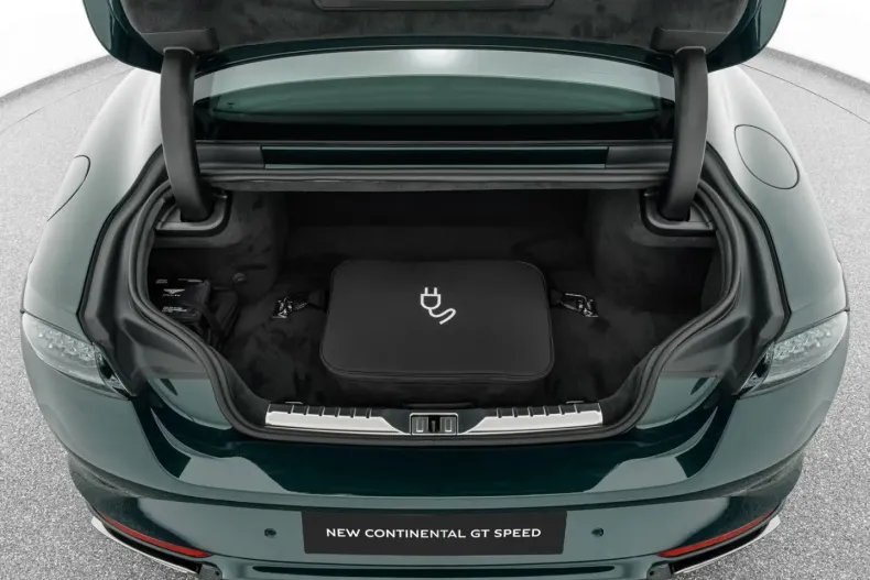 Bentley Continental GT din 2024 cu 17.900 km - oferta BEN177167 - foto 30