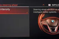 BMW Seria 2 din 2022 cu 95.000 km - oferta BMW177556 - foto 39