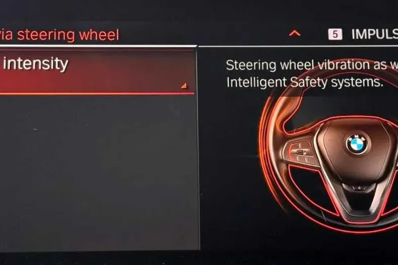 BMW Seria 2 din 2022 cu 95.000 km - oferta BMW177556 - foto 39