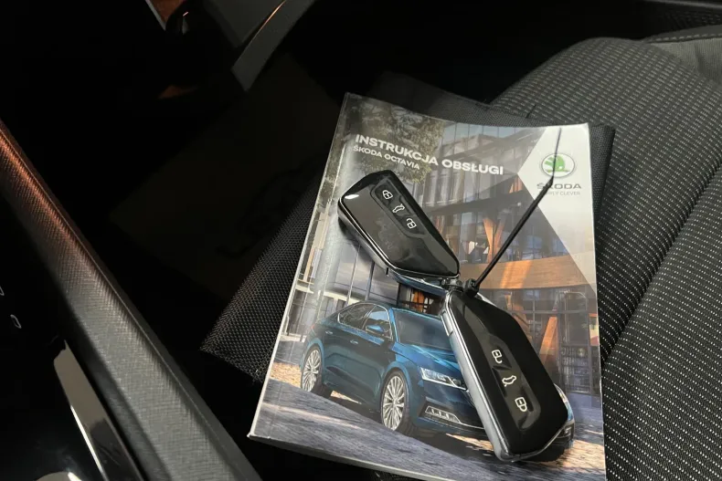Skoda Octavia din 2021 cu 141.000 km - oferta SKO177787 - foto 32