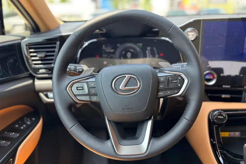 Lexus Seria NX din 2025 cu 100 km - oferta LEX177899 - foto 15