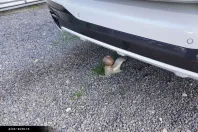 BMW X7 M50 din 2022 cu 83.900 km - oferta BMW179023 - foto 25